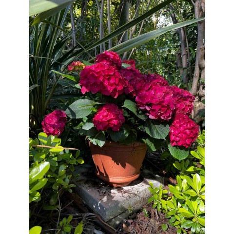 Smooth round pottery wheel-thrown vase 2